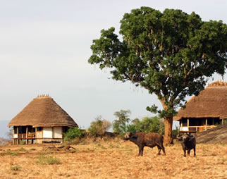 Apoka Safari Lodge