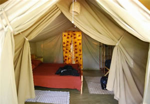 Ishasha Wilderness Camp