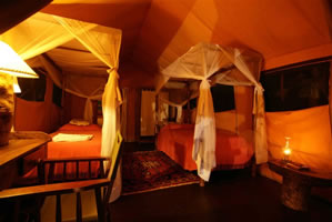 Uganda Eco Lodges